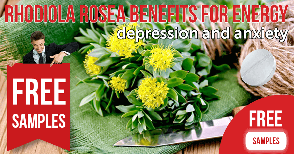 Rhodiola rosea benefits for energy depression and anxiety