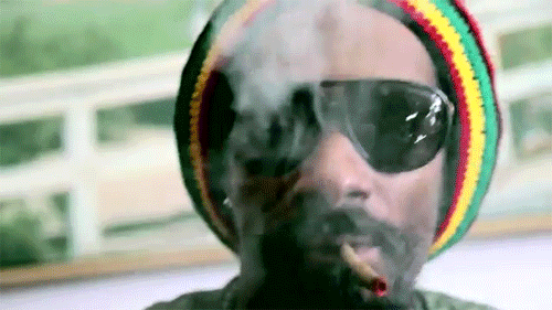 Snoop smokes weed