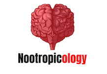 Nootropicology about ModafinilXL